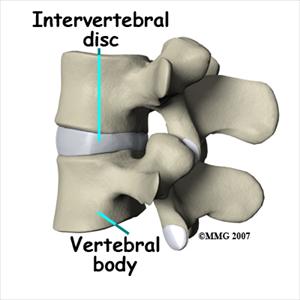 Sciatic Nerve Cushion Support - Proper Sciatica Exercises To Reduce Sciatica Pain