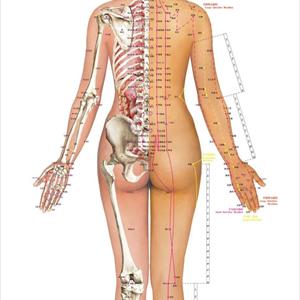 Herniated Disc In Back - Sciatica ... The Incredible Discovery