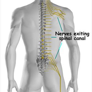 Treating Sciatic Pain - Pinched Nerve Pain Causes And Relief With The Drx9000 Spinal Decompression System