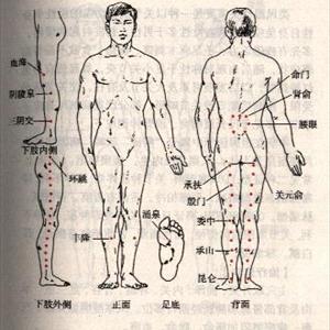 Sciatic Nerve Diagram Videos 